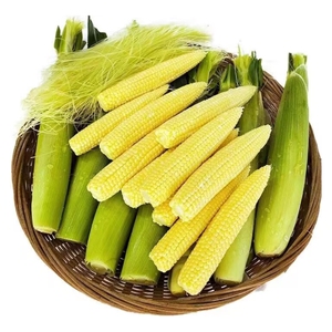 新鲜玉米笋迷你小玉米芯甜玉米笋