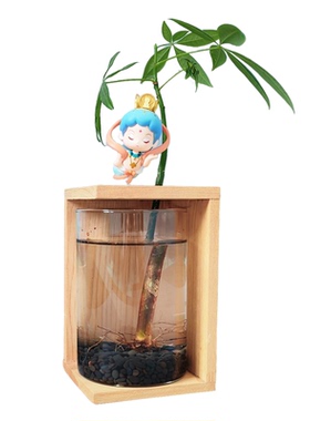 原创斗鱼缸摆件水培植物节日送礼
