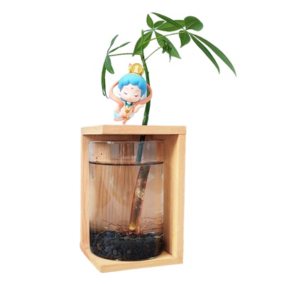 原创斗鱼缸摆件水培植物节日送礼