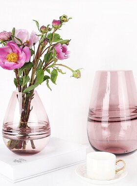 北欧彩色玻璃花瓶批发透明水培插花花器 客厅餐桌工艺品摆件