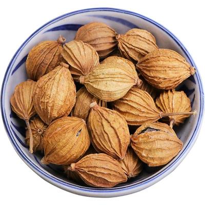 香砂仁黄金大川砂仁调料大全批发