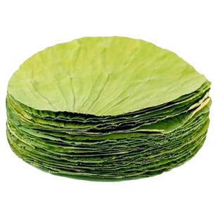 圆形干荷叶整张大荷叶叫花鸡荷叶饭团排骨饭荷叶糯米鸡蒸笼垫荷叶