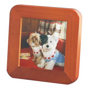 宠物纪念相框摆台洗照片高级感照片相框空框正方形迷你实木小相框