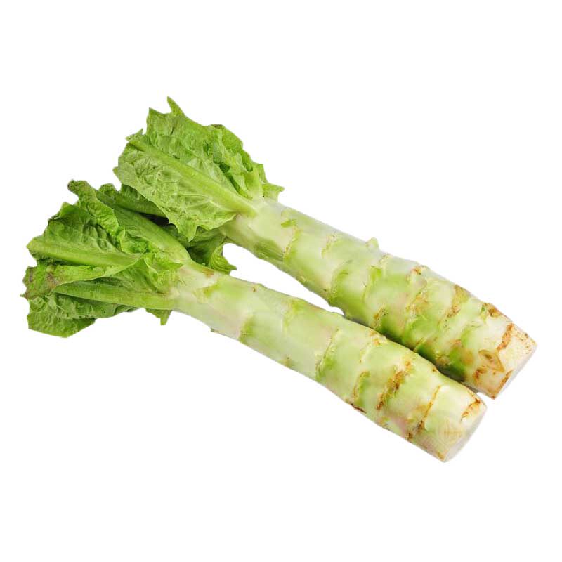 红莴苣种子莴笋苗秋冬莴苣菜种籽四季春秋蔬菜种孑莴笋种籽四季