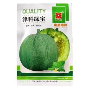 黑皮甜瓜种籽孑蔬菜水果籽山台王海瓜酥瓜种子津科绿宝甜瓜种子5g
