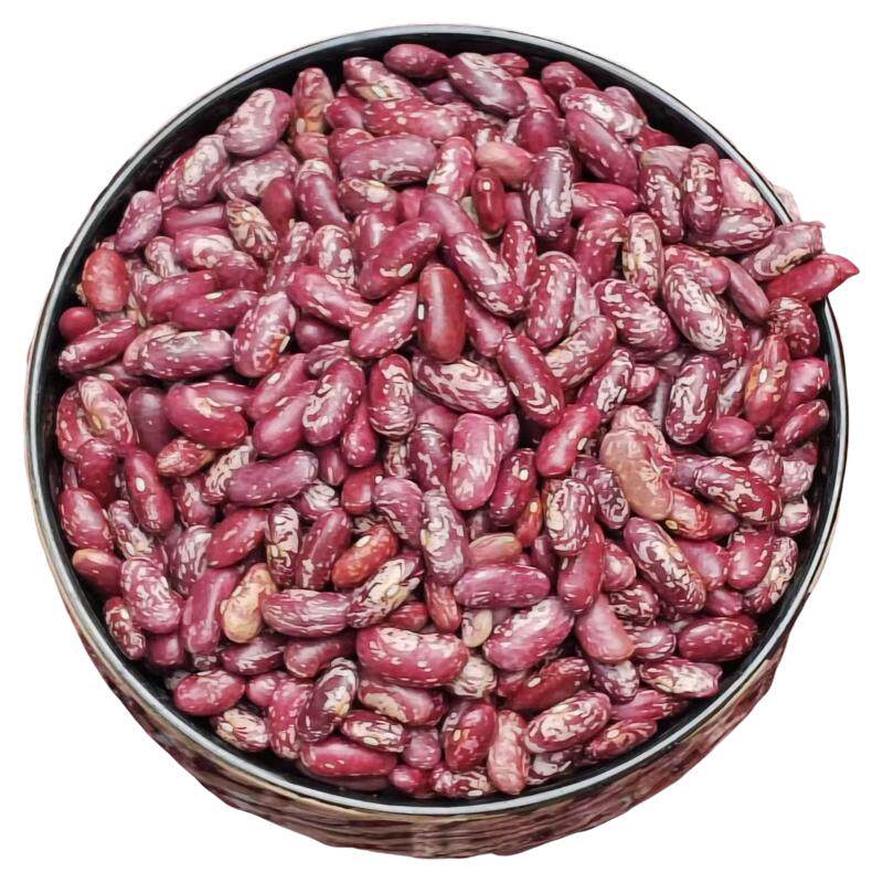 贵州本地特产红芸豆花豆干四季豆