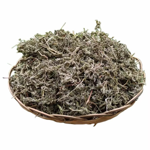 正宗广西瑶山长寿茶润喉去湿下火茶银藤茶莓茶青霜藤泡水高黄酮