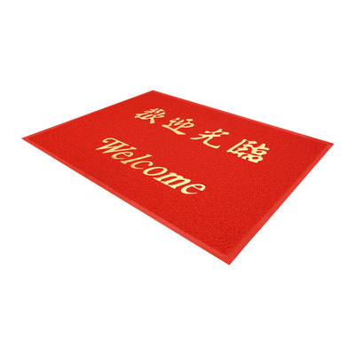 门外丝圈除尘垫耐磨耐用蹭土垫子