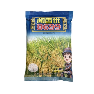 原装广西杂交水稻闻香优8699香稻种子国标一级大穗长粒生育期短