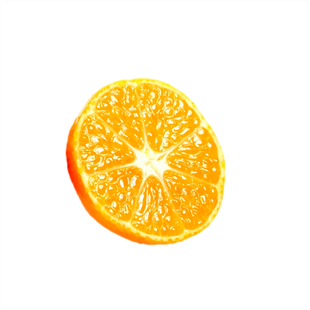 推荐四川优质嫁接 纽荷尔脐橙纽贺尔柑橘桔子果树苗 赣南脐橙树苗