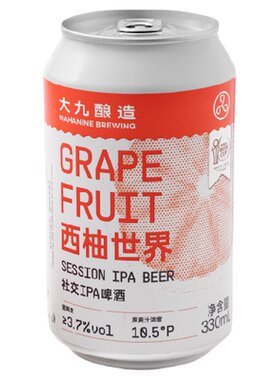 大九酿造西柚世界精酿啤酒