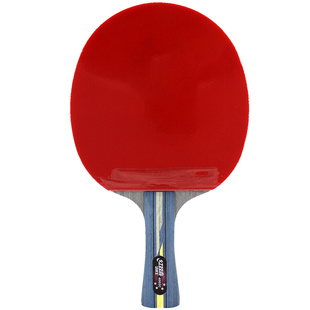 【快攻型碳素拍】红双喜正品4星5星乒乓球拍横直拍R4002C R4006C