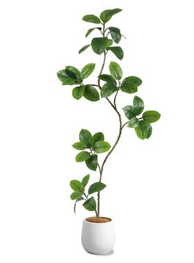 仿真绿植橡皮树客厅大盆栽绿金刚