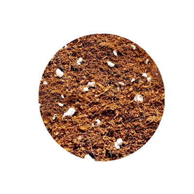 盆景酸性绿植肥料沙质土壤