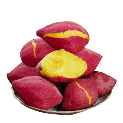 天目山鸡蛋薯|新鲜现挖|粉糯香甜