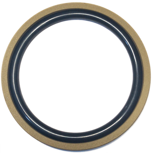 孔用格莱圈 STD 135*114*119.5/140*119*124.5*129*4.2*6.3*8.1