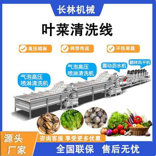 商用气泡清洗机辣椒西红柿净菜加工流水线生菜油菜全自动清洗设备