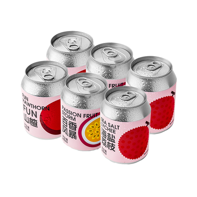 斑马精酿清爽酸甜果啤混装6罐