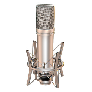 动圈麦电容麦大振膜E300麦克风话筒【老客户声卡专用】u87有线