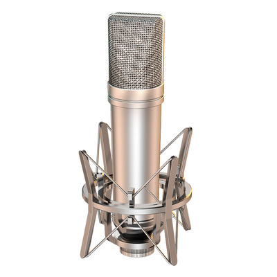 动圈麦电容麦大振膜E300麦克风话筒【老客户声卡专用】u87有线