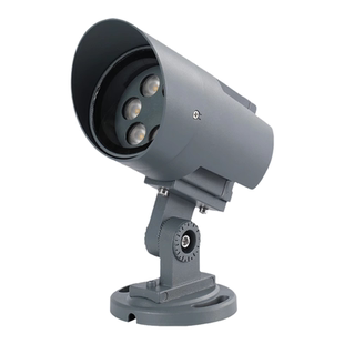 别墅抱柱灯园林公园七彩投光室外辅助照明工程亮化led射树灯防水