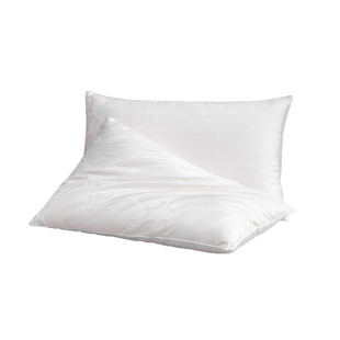 蚕花娘娘100%蚕丝软枕颈椎枕中低枕芯单人家用睡觉专用舒适枕头