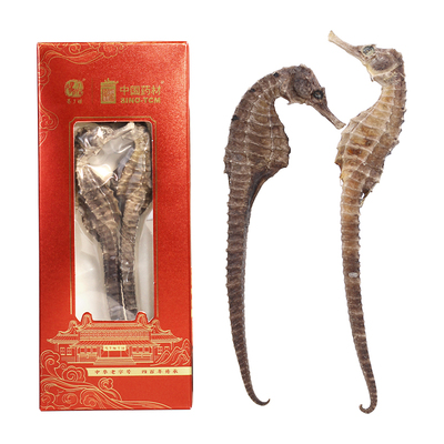国药集团冯了性  三斑海马干一公一母田七中药材增正品泡酒高汤包