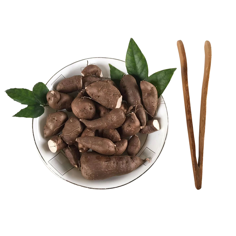 浙江新鲜正宗三叶青中药金线吊葫芦丝线吊金钟石老鼠免费打粉切片