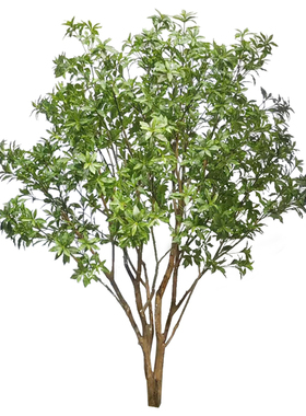 仿真马醉木假植物造景大型室内装饰绿植假吊钟树橱窗天井简约景观