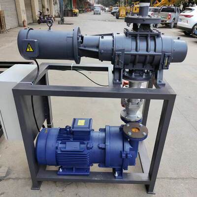 东莞水环式真空泵2BV-5131系列水环泵罗茨水环机组 喷雾厂家批发