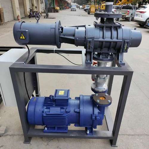 东莞水环式真空泵2BV-5131系列水环泵罗茨水环机组 喷雾厂家批发