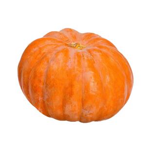 美国巨型南瓜种子大全特大磨盘太空南瓜种籽观赏食用高产蔬菜种孑