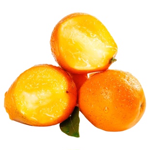 正宗融安脆蜜独立包装鲜果金柑第三代金桔现摘新鲜水果纯甜包邮