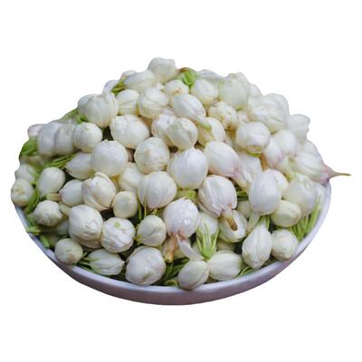 新鲜茉莉花2斤食用当季鲜花
