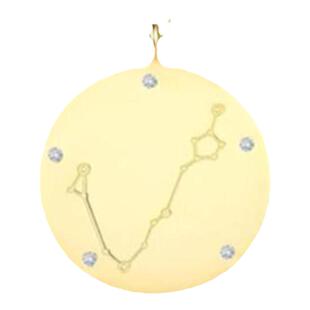 法国十二星座项链 女18K黄金圆牌罗马硬币纯银毛衣链锁骨链冷淡风