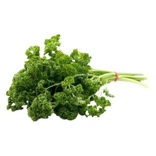 新鲜番西法国香芹荷兰欧芹西洋芹摆盘装饰用品500g新鲜蕃西蔬菜