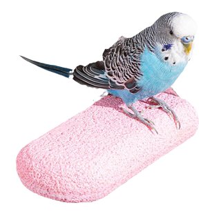 鹦鹉玩具鹦鹉专用磨爪棒站杆多彩雪糕平台防滑磨嘴爪树脂栖息站杆