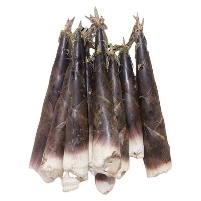 现挖新鲜竹笋麻竹笋当季油焖蔬菜