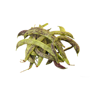 正宗东北油豆角现摘新鲜5斤现摘宽芸豆马掌豆角特产大全应季蔬菜