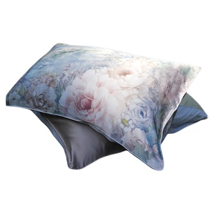 钱皇高档印花真丝枕套100桑蚕丝16姆米高端花色丝滑枕头套一对装