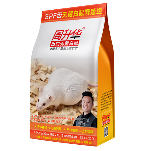 无菌活体KM小白鼠繁殖组种鼠一公三母4只20~30g约30天生乳鼠包邮