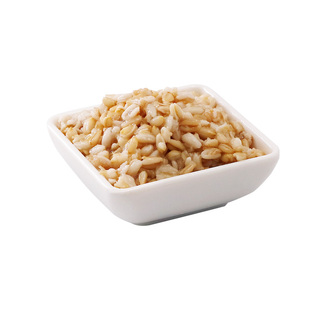 天聪燕麦罐头850g开罐即食青稞早餐麦片COCO 喜茶奶茶店原料专用