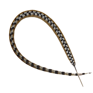 仿真俏花旦孙悟空长翎子毛翎毛翎羽戏曲祭孔舞蹈道具仿野鸡毛羽毛