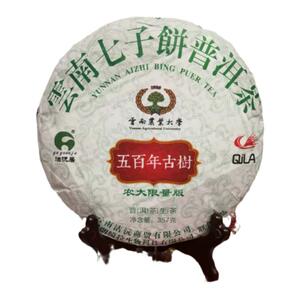 七子饼500年普洱茶古树茶