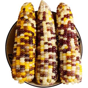 有机花糯玉米新鲜现摘香甜粘糯真空装非东北早代餐彩黏糯玉米棒