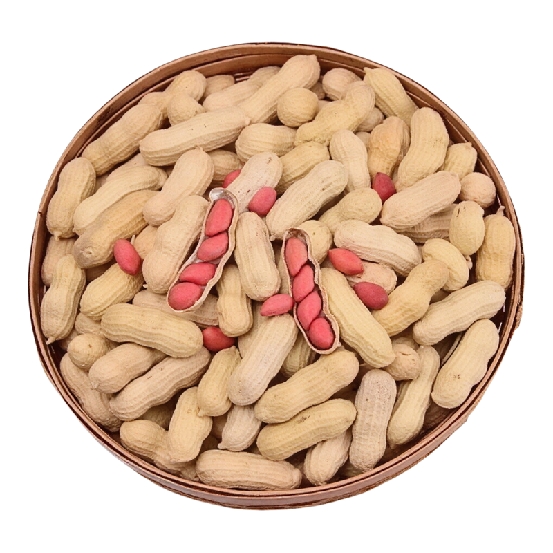 吉林扶余四粒红花生（带壳生果）红皮生花生果农家自产当季新货