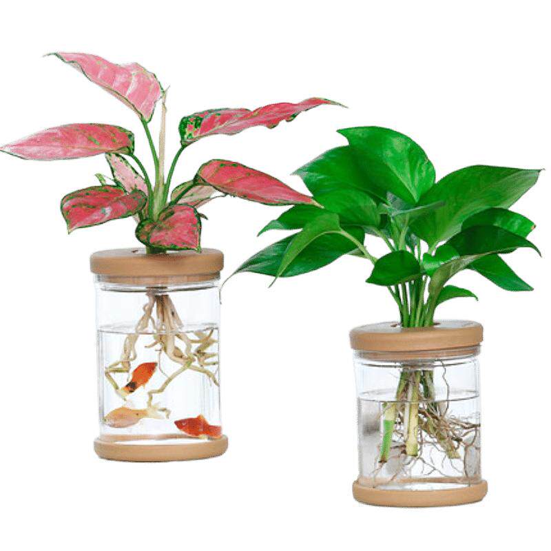 简约树脂塑料水培花盆