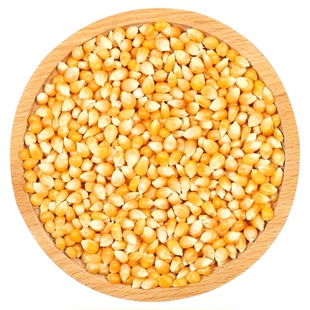 爆米花专用球形玉米粒5斤电影院家用自做爆裂小玉米粒原料干苞米