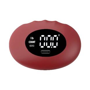 中亿衡握力测试器握力计电子测握力器测试仪测力计握力器握力计