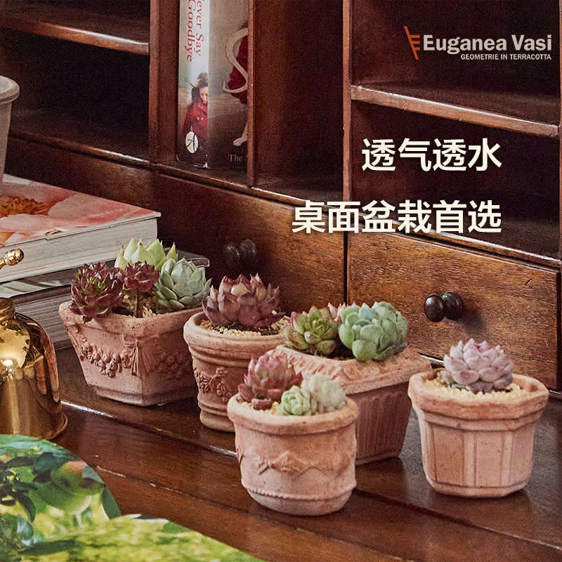 EV陶盆迷你浮雕进口手工创意多肉非洲堇可爱情绪稳定陶土花盆